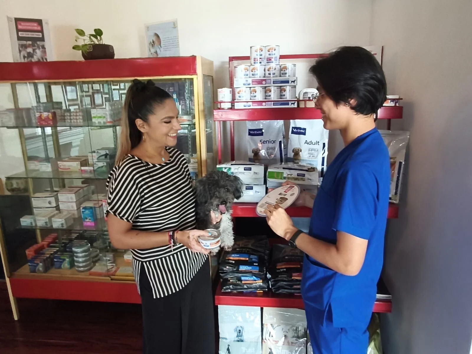 Farmacia